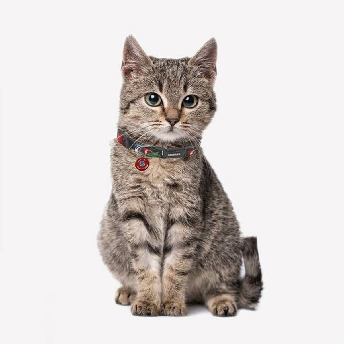 Hundhalsband Marvel XXS/XS Svart - 10