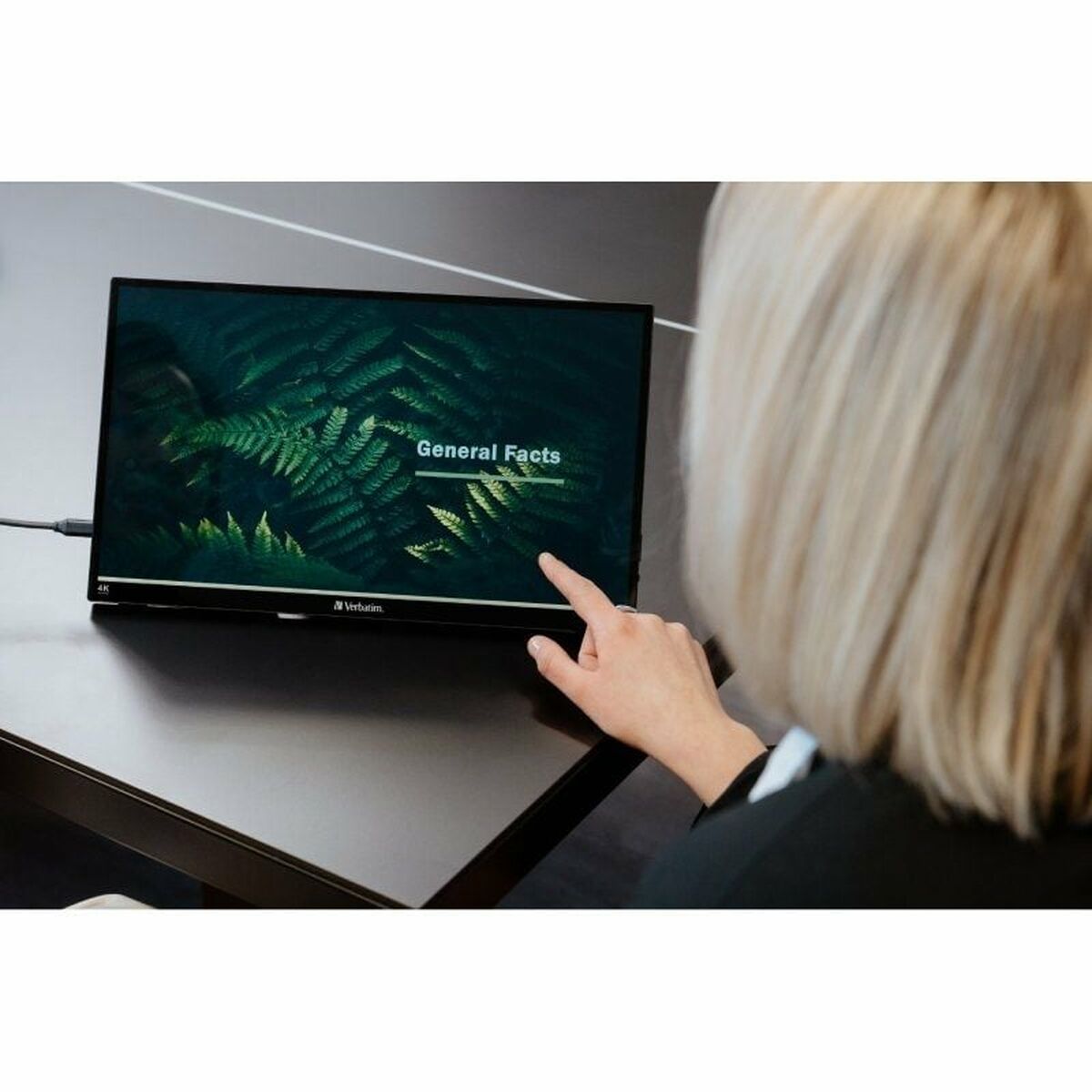 Pekskärm Verbatim PMT-15-4K 4K Ultra HD 15" - 8