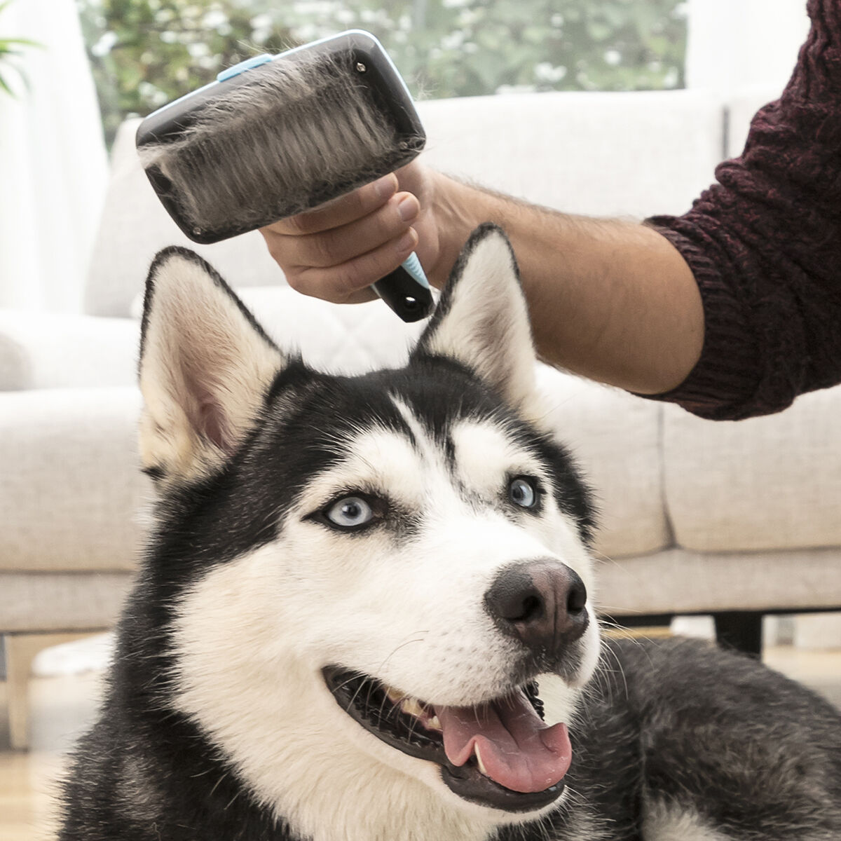 Borste för husdjur med infällbara borst Groombot InnovaGoods - 3