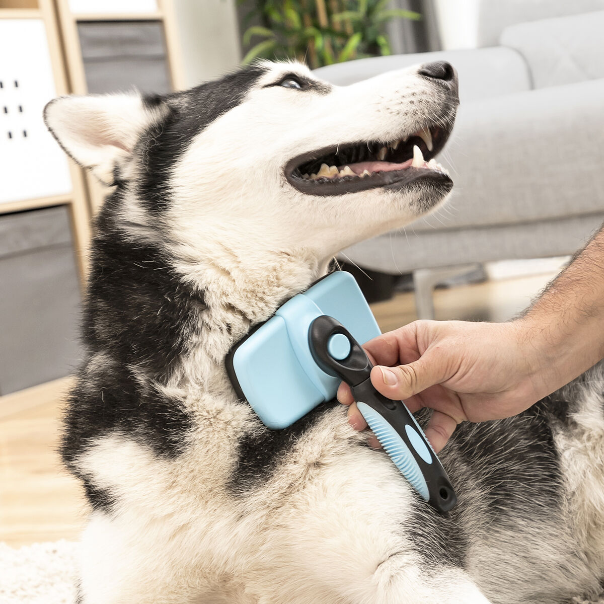 Borste för husdjur med infällbara borst Groombot InnovaGoods - 4