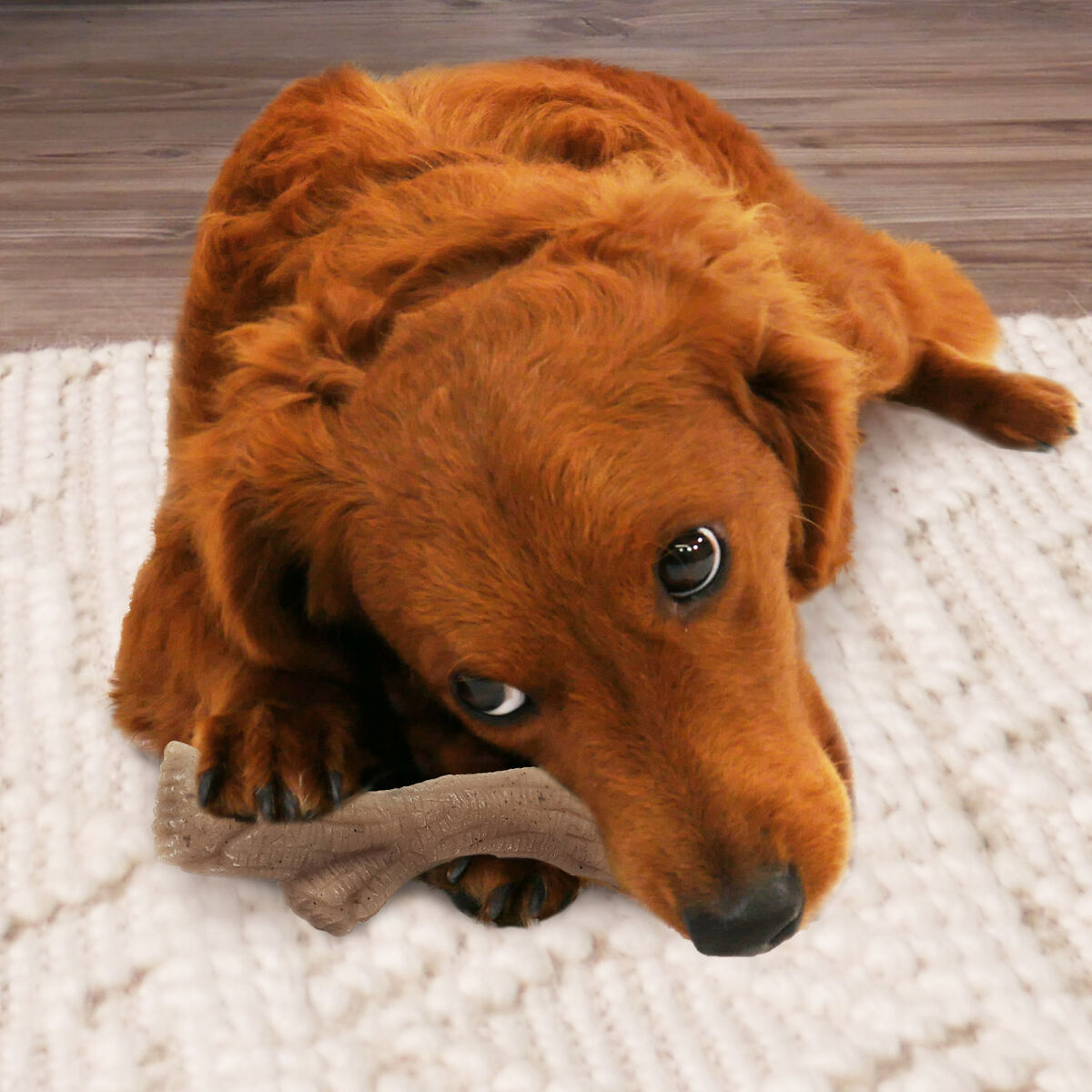 Tuggleksak för hundar Nylabone Brun Jordnötssmör M - 4