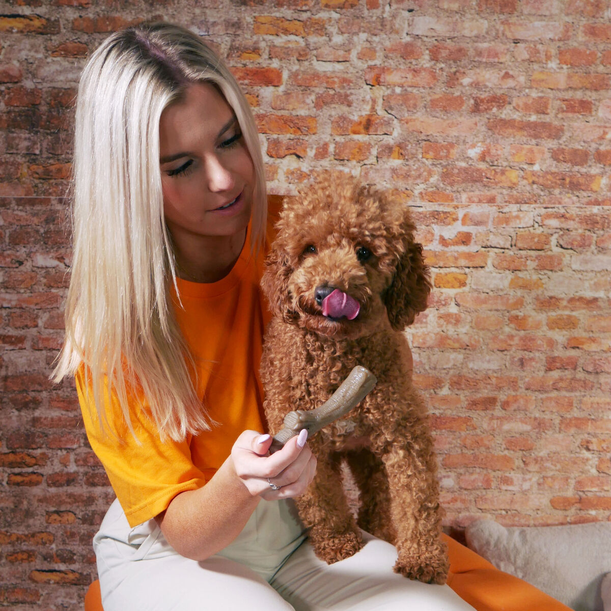 Tuggleksak för hundar Nylabone Brun Jordnötssmör M - 3