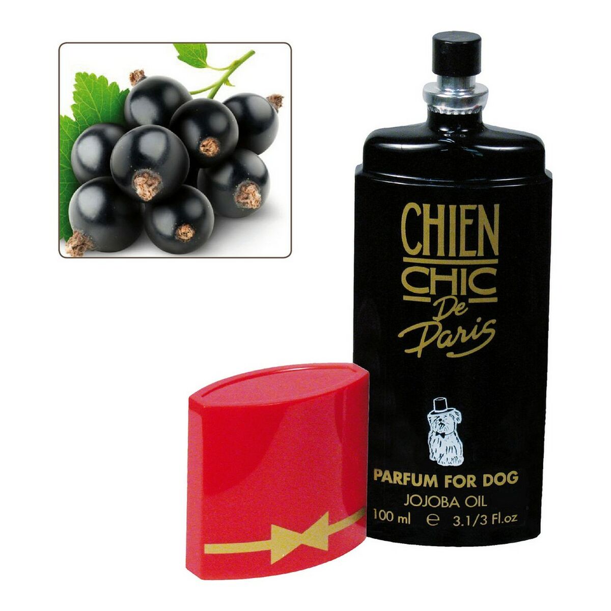 Husdjursparfym Chien Chic Hund Vinbär (100 ml) - 3