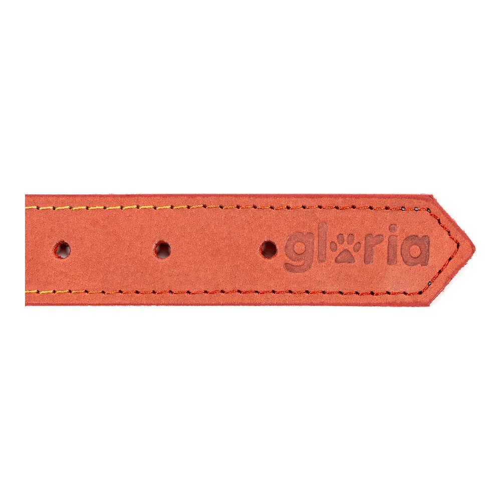 Hundhalsband Gloria Oasis Röd (70 x 3 cm) - 2