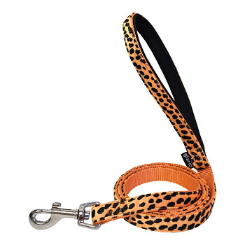 DoHundkoppel Gloria 1.5 x 120 cm Orange