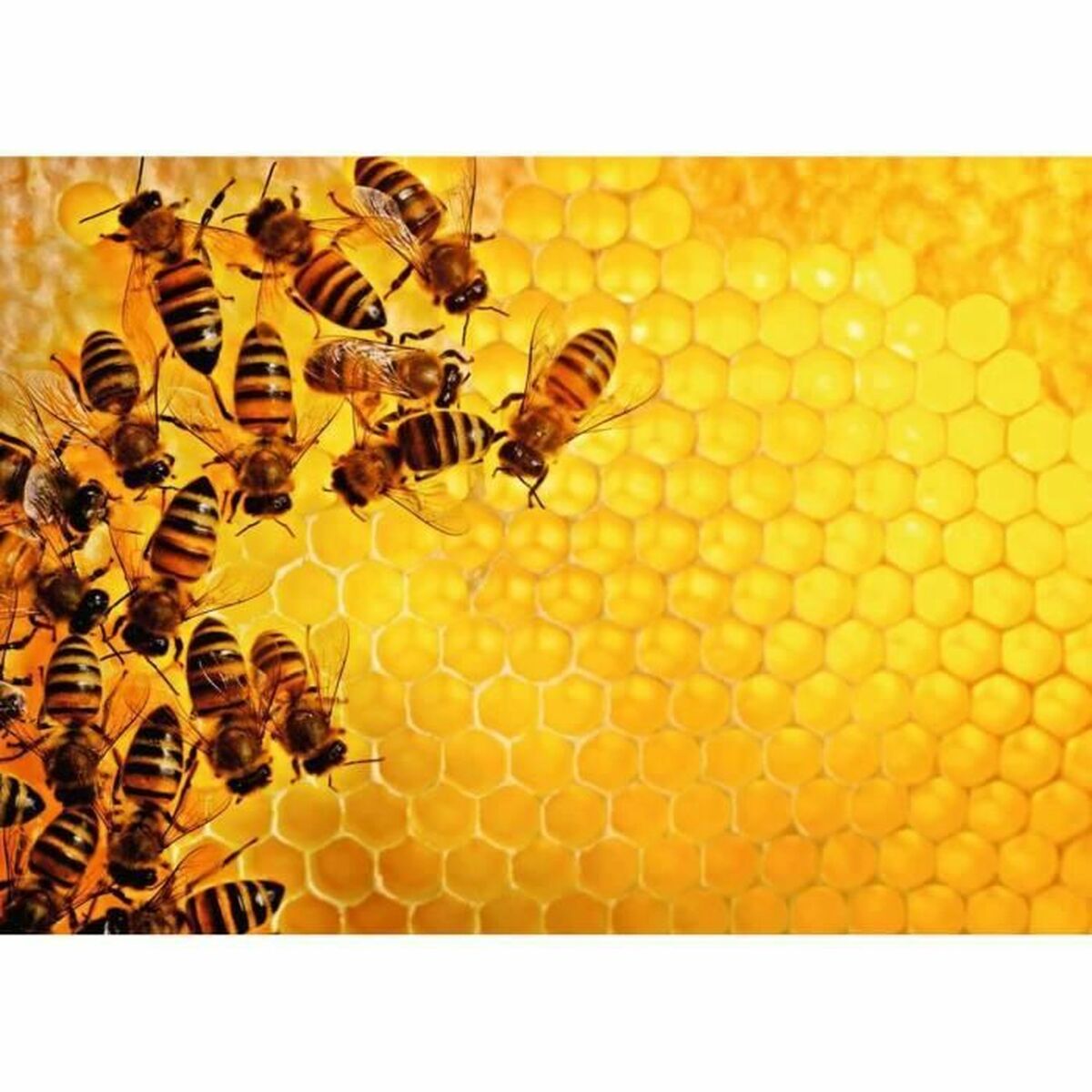 Pussel Ravensburger Challenge 17362 Beehive 1000 Delar - 2