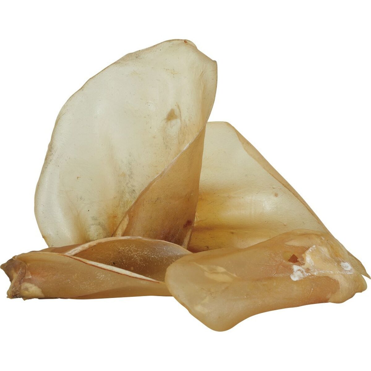 Tuggleksak för hundar Zolux Beef ear Nötkött 1 kg