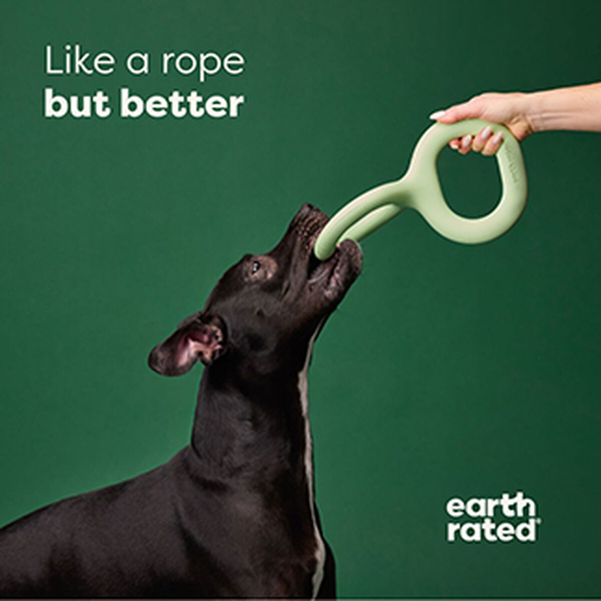 Hundleksak Earth Rated - 4