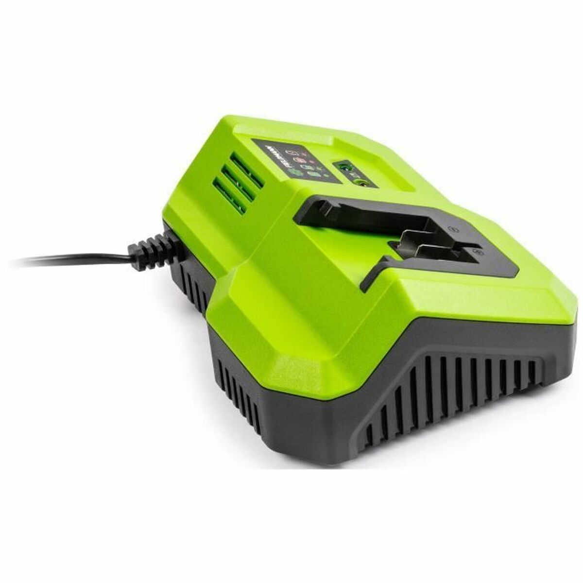 Batteriladdare Fieldmann - 2