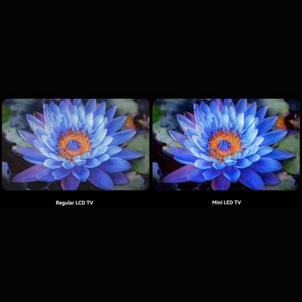 Smart TV Xiaomi 4K Ultra HD 55" - 6