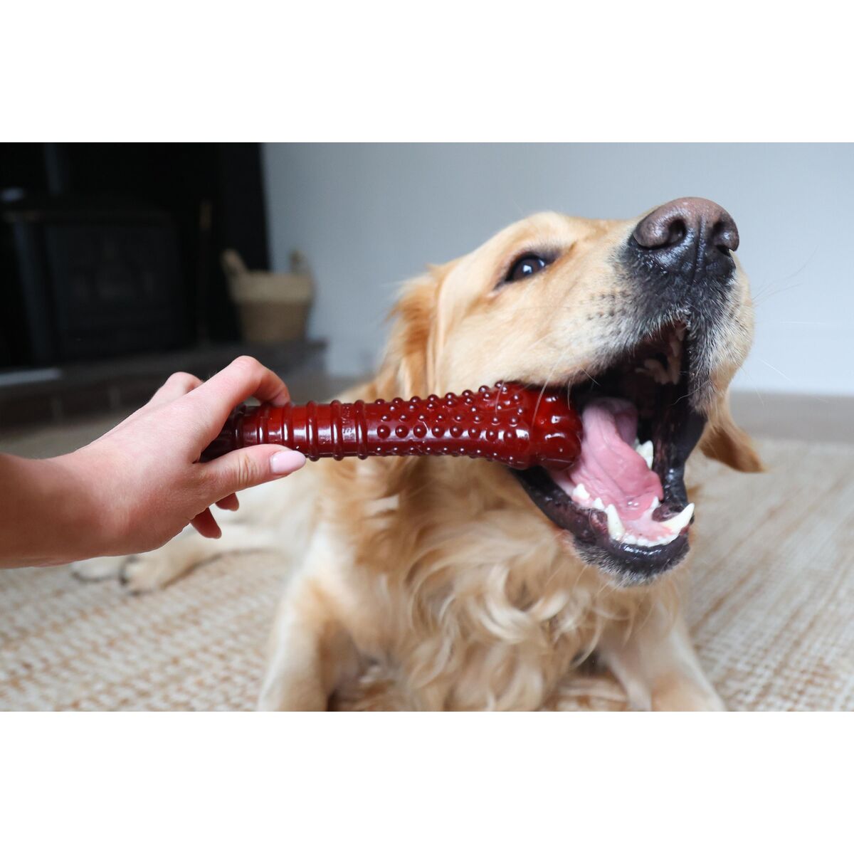 Ben Nylabone Brun Bacon XL - 4