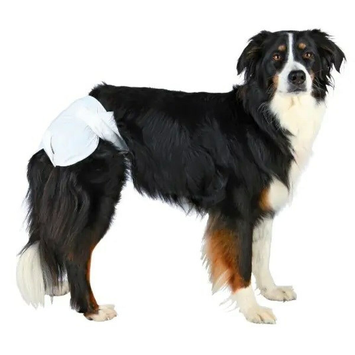 Blöjor Trixie TX-23632 Hund S/M - 2
