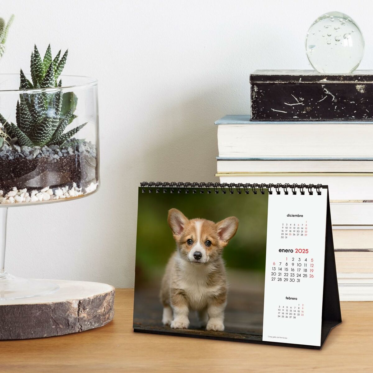 Skrivbordskalender Finocam CACHORROS CARIÑOSOS Multicolour Papper 21 x 15 cm 2025 - 3