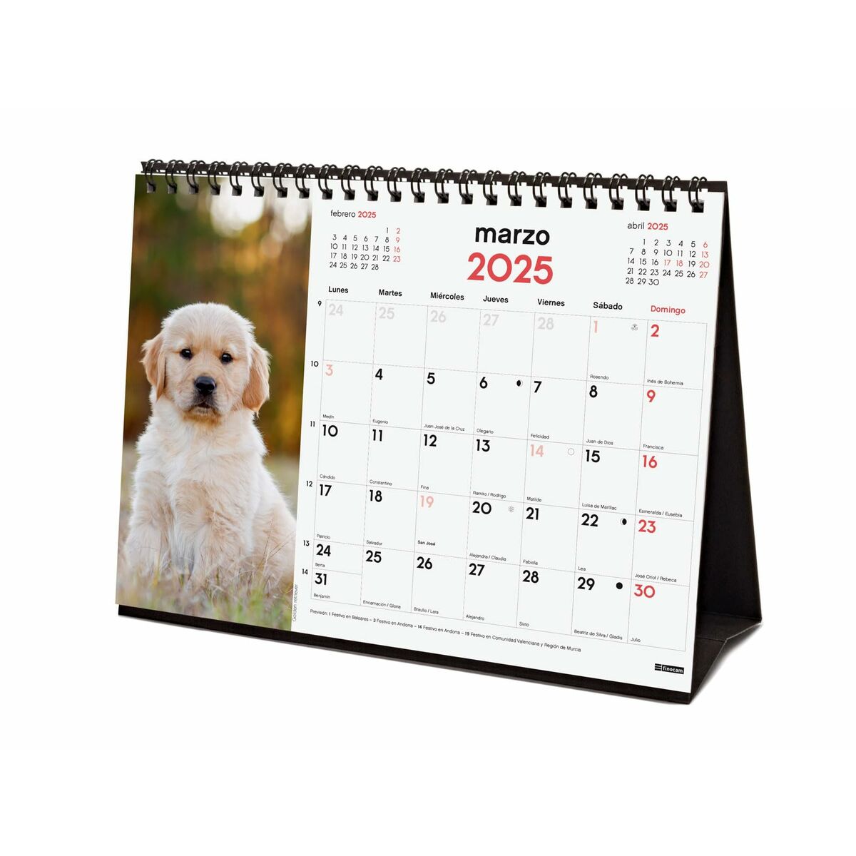 Skrivbordskalender Finocam CACHORROS CARIÑOSOS Multicolour Papper 21 x 15 cm 2025 - 4