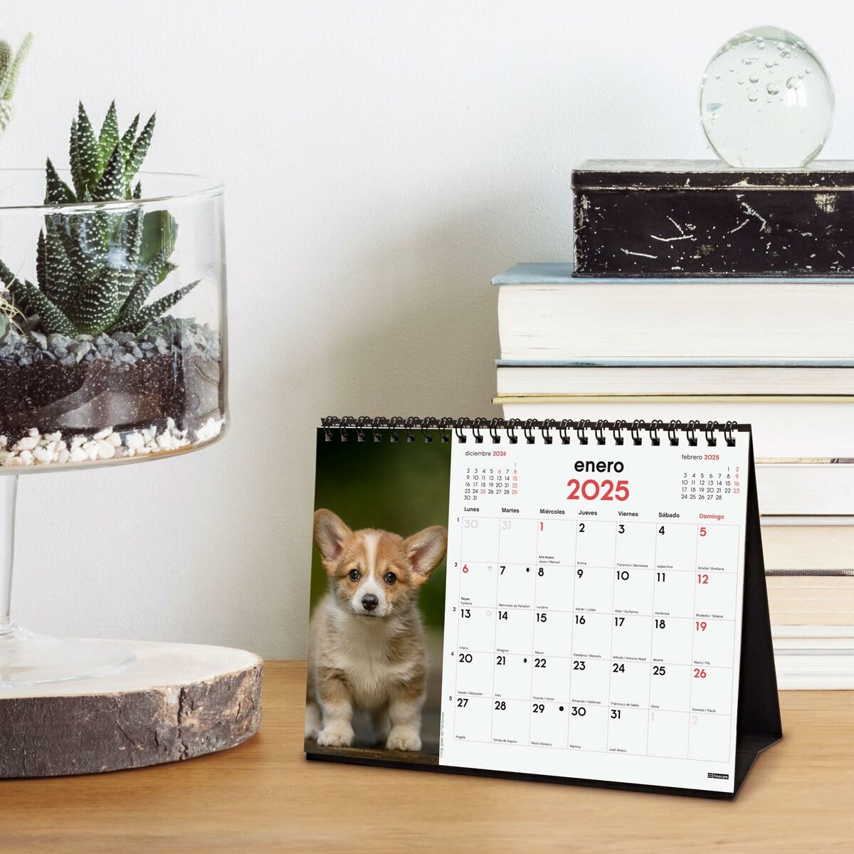 Skrivbordskalender Finocam CACHORROS CARIÑOSOS Multicolour Papper 21 x 15 cm 2025 - 2