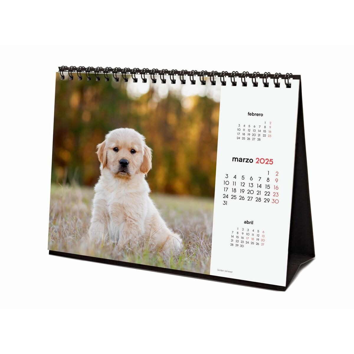 Skrivbordskalender Finocam CACHORROS CARIÑOSOS Multicolour Papper 21 x 15 cm 2025 - 5