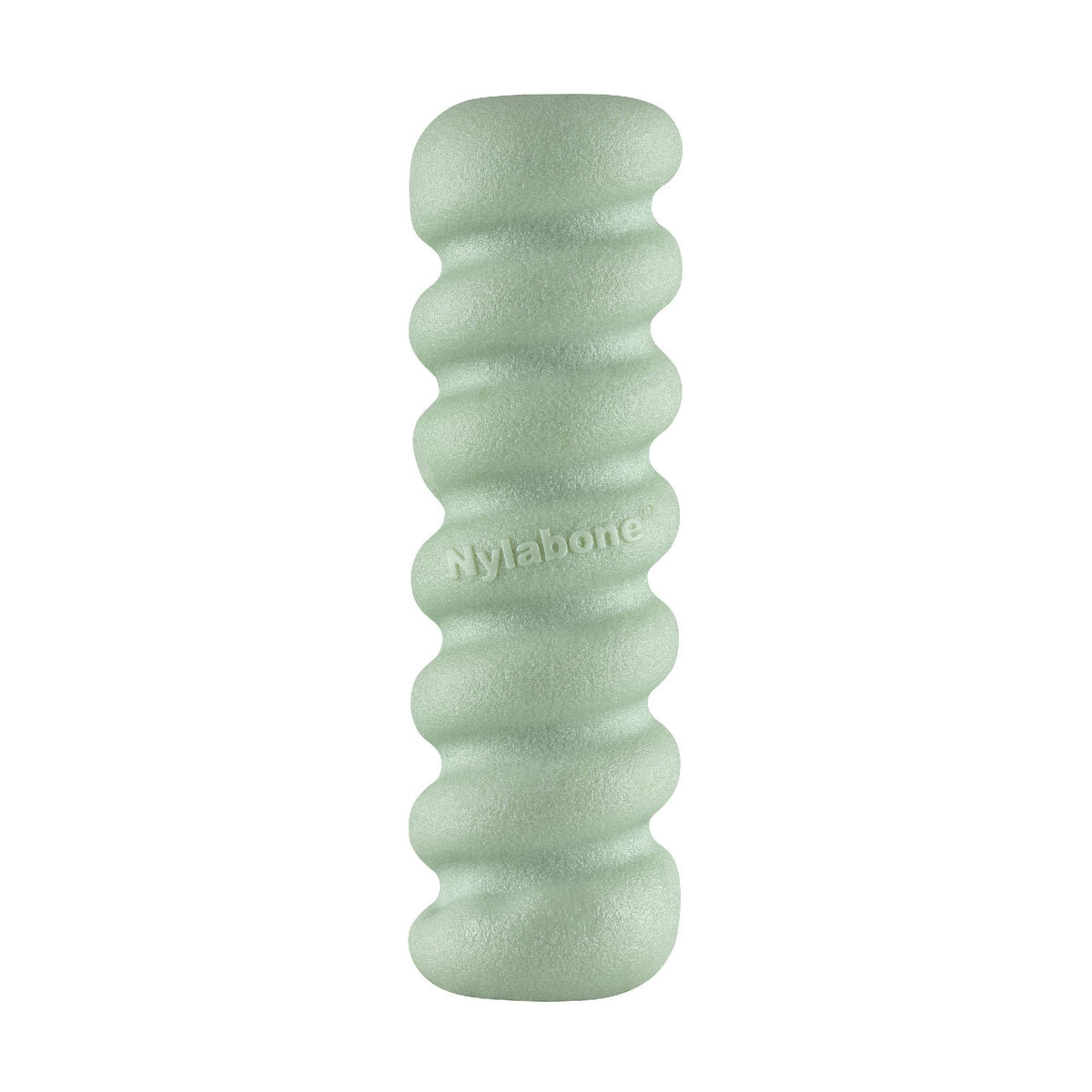 Tuggleksak för hundar Nylabone SENSORY TACTILE STICK Grön Jordnötssmör Bacon S - 3