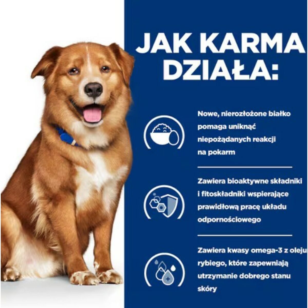 Våt mat Hill's Canine Derm Complete 370 g - 4
