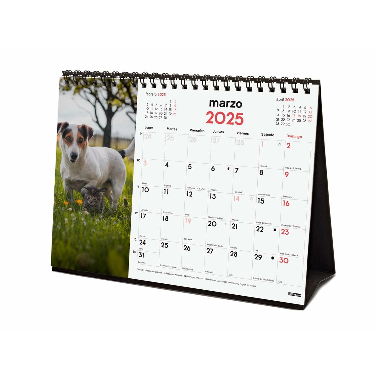 Skrivbordskalender Finocam PERROS Y GATOS Multicolour Papper 21 x 15 cm 2025 - 4