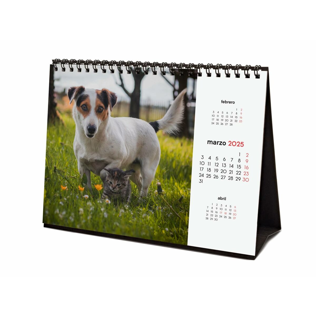Skrivbordskalender Finocam PERROS Y GATOS Multicolour Papper 21 x 15 cm 2025 - 5
