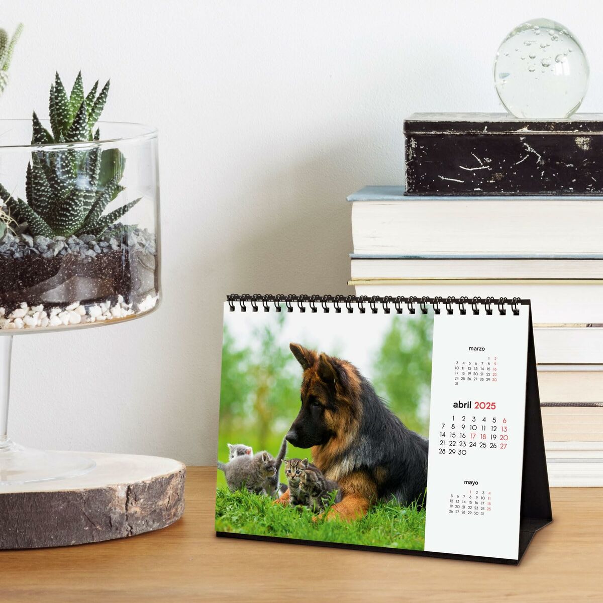Skrivbordskalender Finocam PERROS Y GATOS Multicolour Papper 21 x 15 cm 2025 - 3