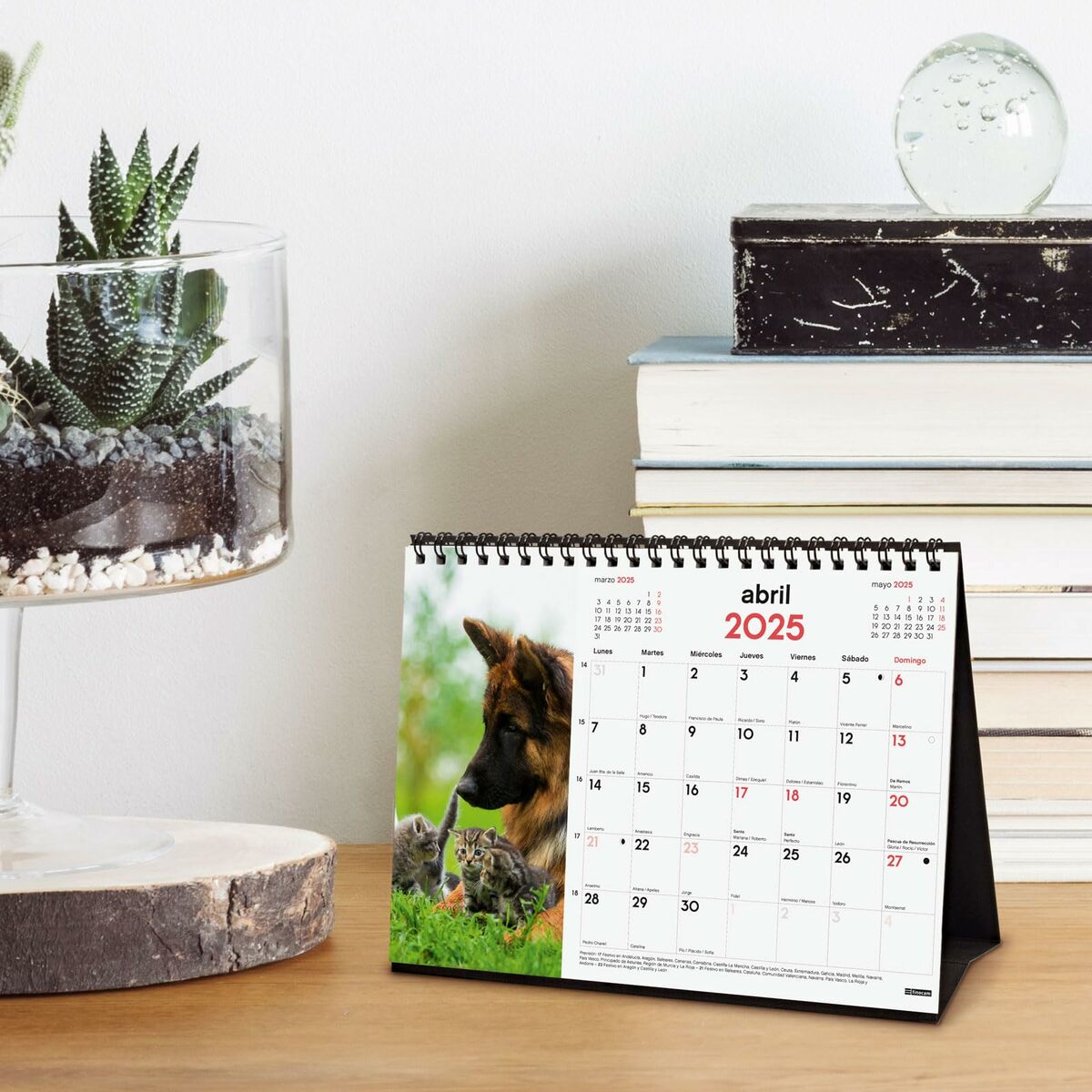 Skrivbordskalender Finocam PERROS Y GATOS Multicolour Papper 21 x 15 cm 2025 - 2
