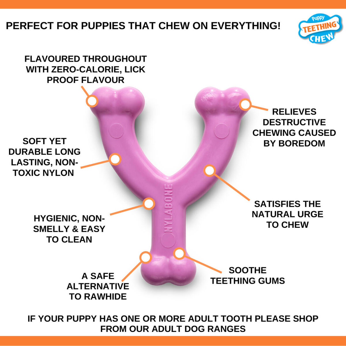 Tuggleksak för hundar Nylabone WISHBONE Rosa Kyckling XS - 3