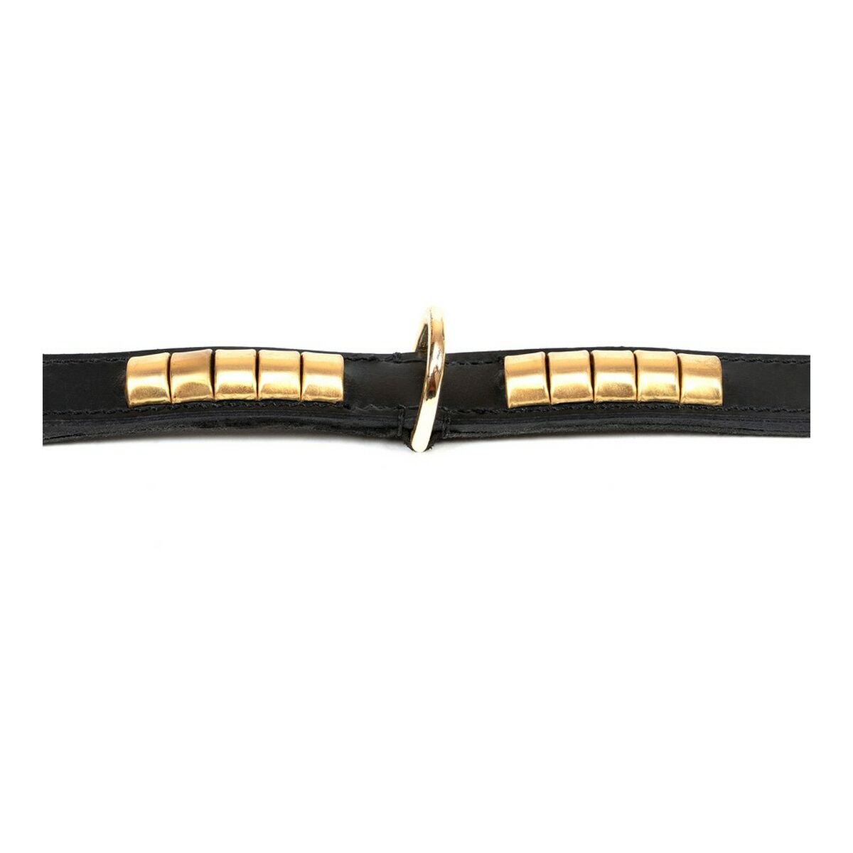 Hundhalsband Gloria Duna Svart Gyllene (55 x 2.5 cm) - 12
