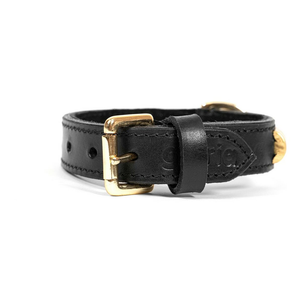 Hundhalsband Gloria Duna Svart Gyllene (55 x 2.5 cm) - 15