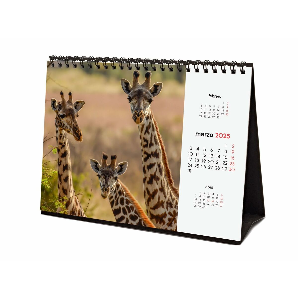 Skrivbordskalender Finocam FAUNA SALVAJE Multicolour Papper 21 x 15 cm 2025 - 5