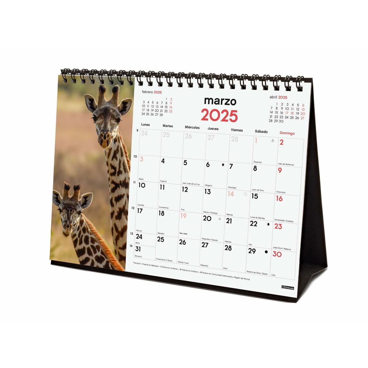 Skrivbordskalender Finocam FAUNA SALVAJE Multicolour Papper 21 x 15 cm 2025 - 4