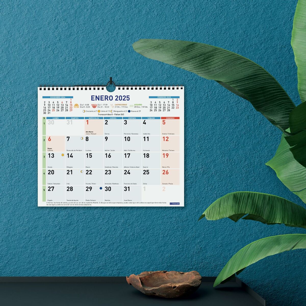 Väggkalender Finocam Multicolour Papper 2025 30 x 24,7 cm - 2