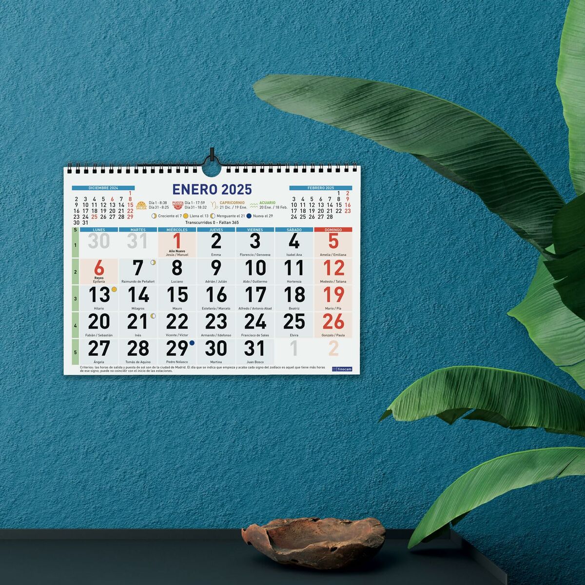 Väggkalender Finocam Multicolour Papper 2025 30 x 21 cm - 2