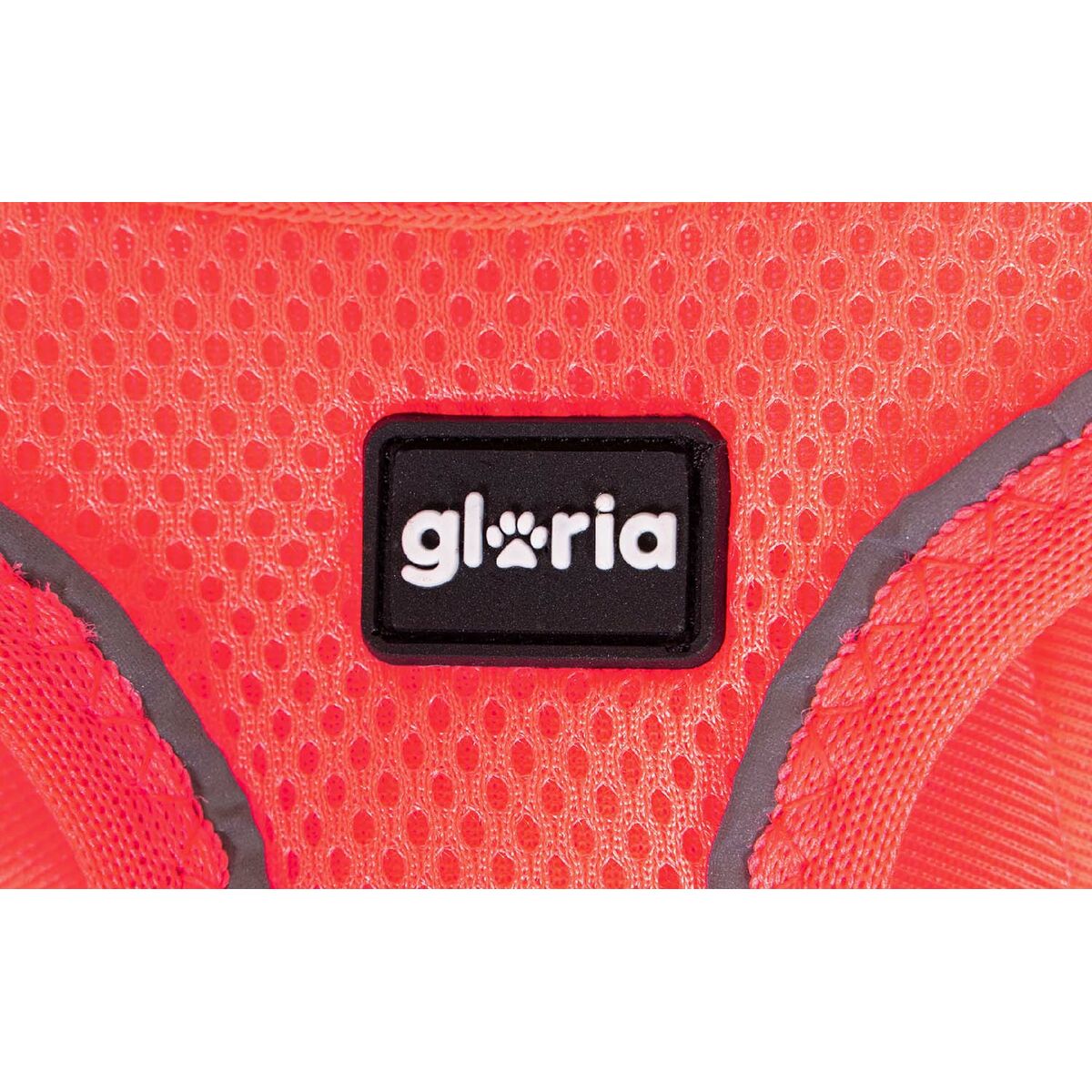 Hundsele Gloria 32,8-35,4 cm 45-47 cm Rosa M - 3