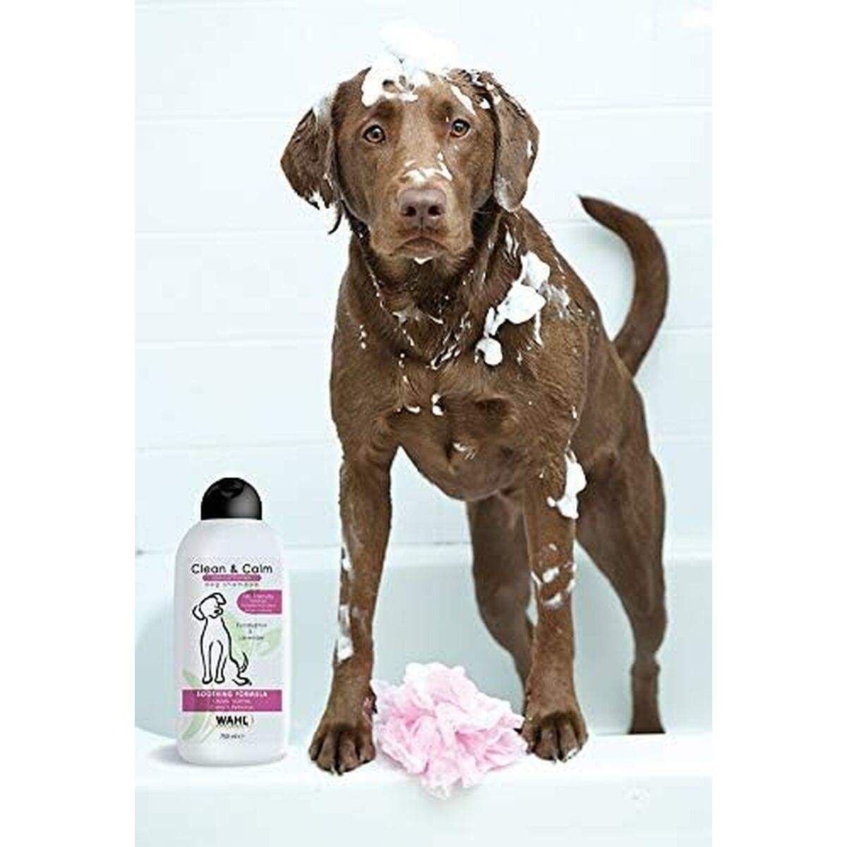 Husdjurschampo Wahl Clean & Calm 750 ml - 2