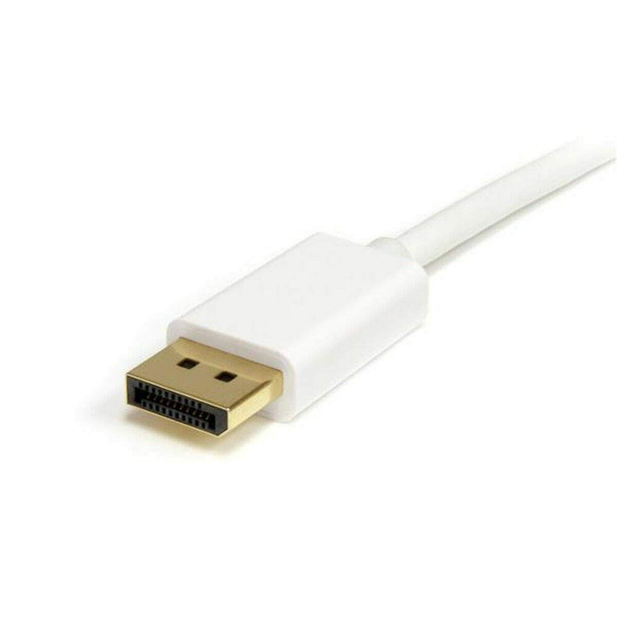 Kabel DisplayPort Mini till DisplayPort Startech MDP2DPMM2MW          (2 m) Vit 4K Ultra HD - 3