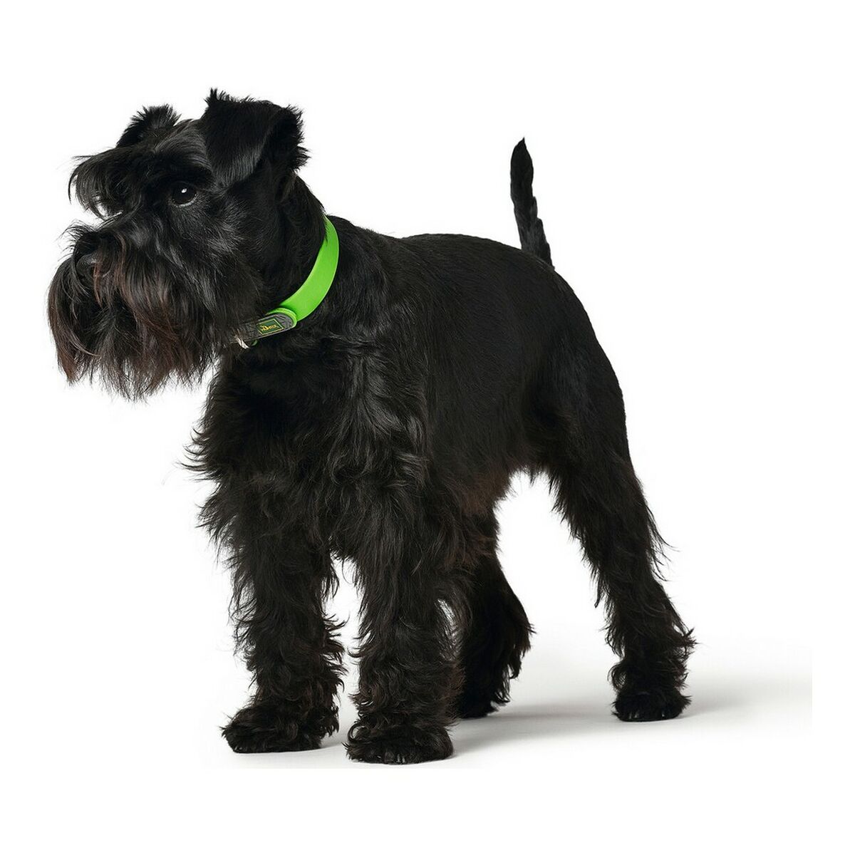 Hundhalsband Hunter Convenience Grön Storlek S/M (33-41 cm) - 3
