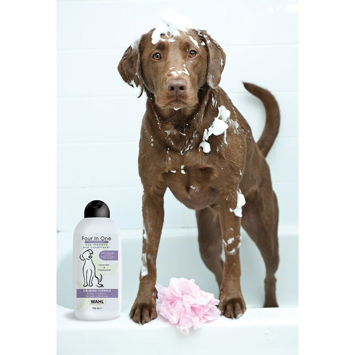 Husdjurschampo Wahl 3999-7010 750 ml Vit - 2
