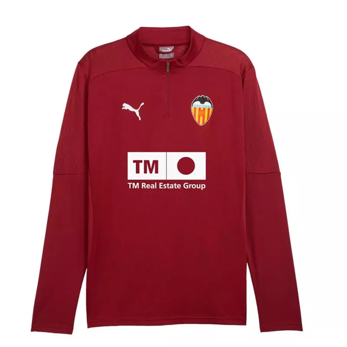 Tränings t-shirt, Vuxen Puma Valencia CF 24/25 Training Vit