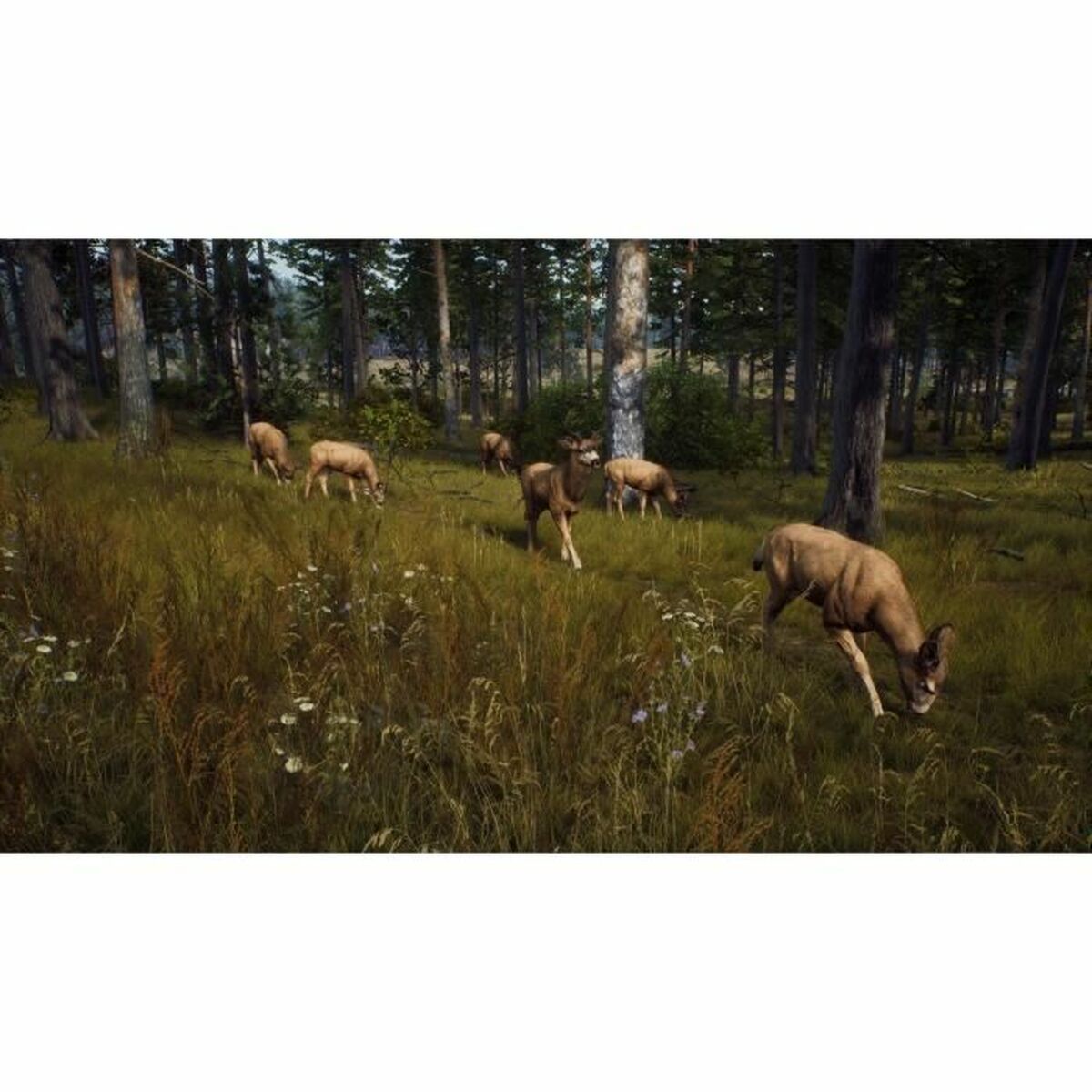 Xbox Series X Videospel THQ Nordic Wild Expeditions (FR) - 5