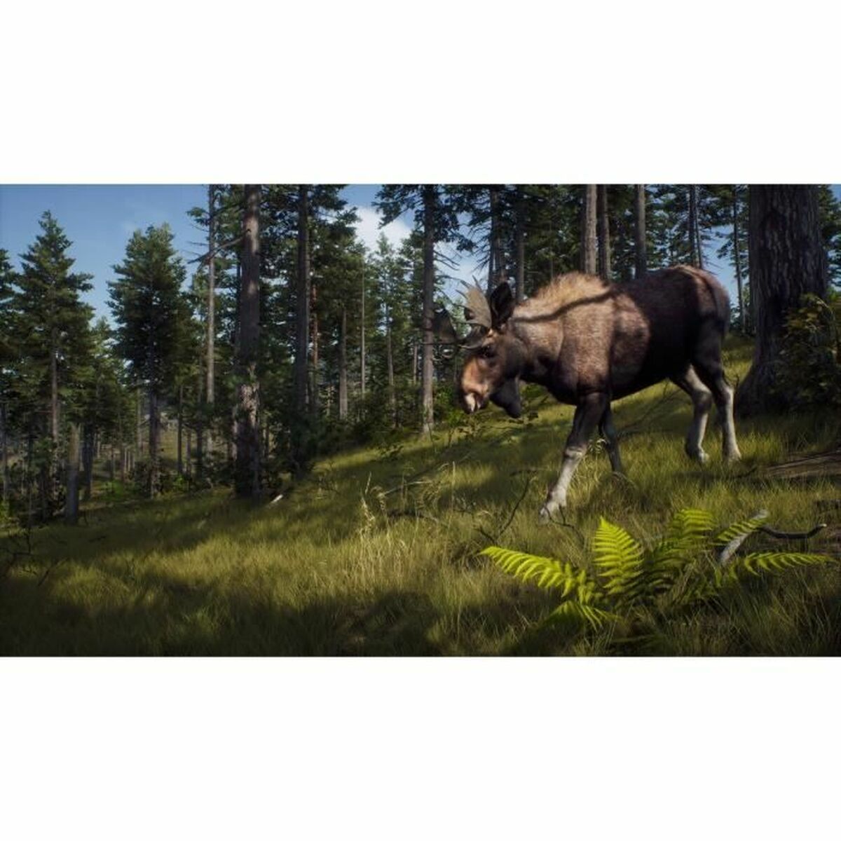 Xbox Series X Videospel THQ Nordic Wild Expeditions (FR) - 6