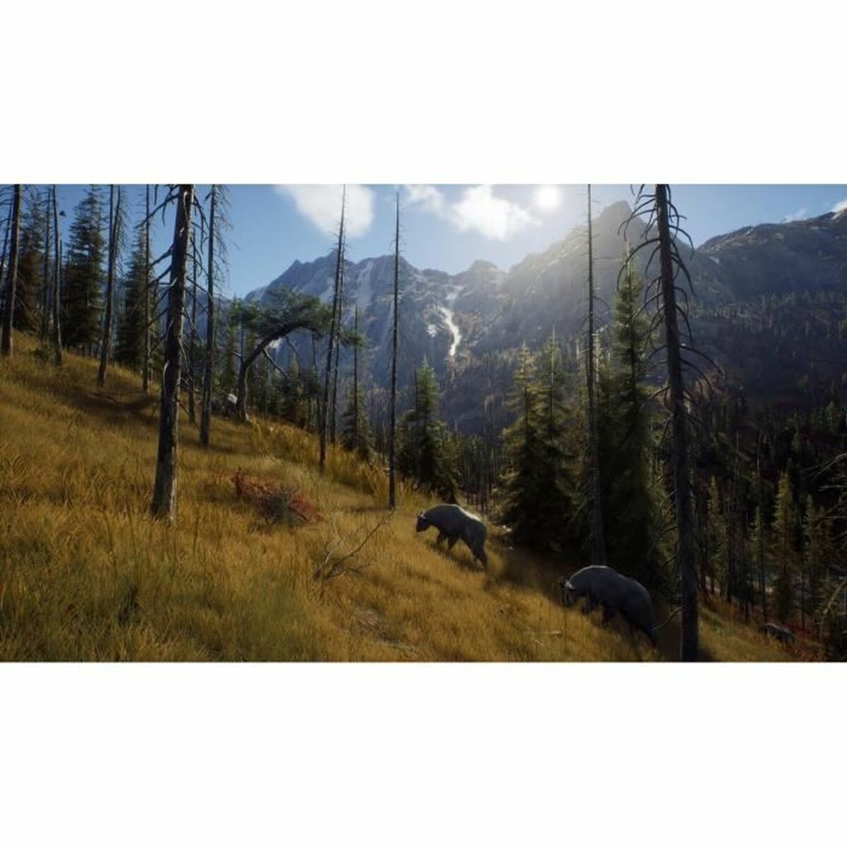 Xbox Series X Videospel THQ Nordic Wild Expeditions (FR) - 4