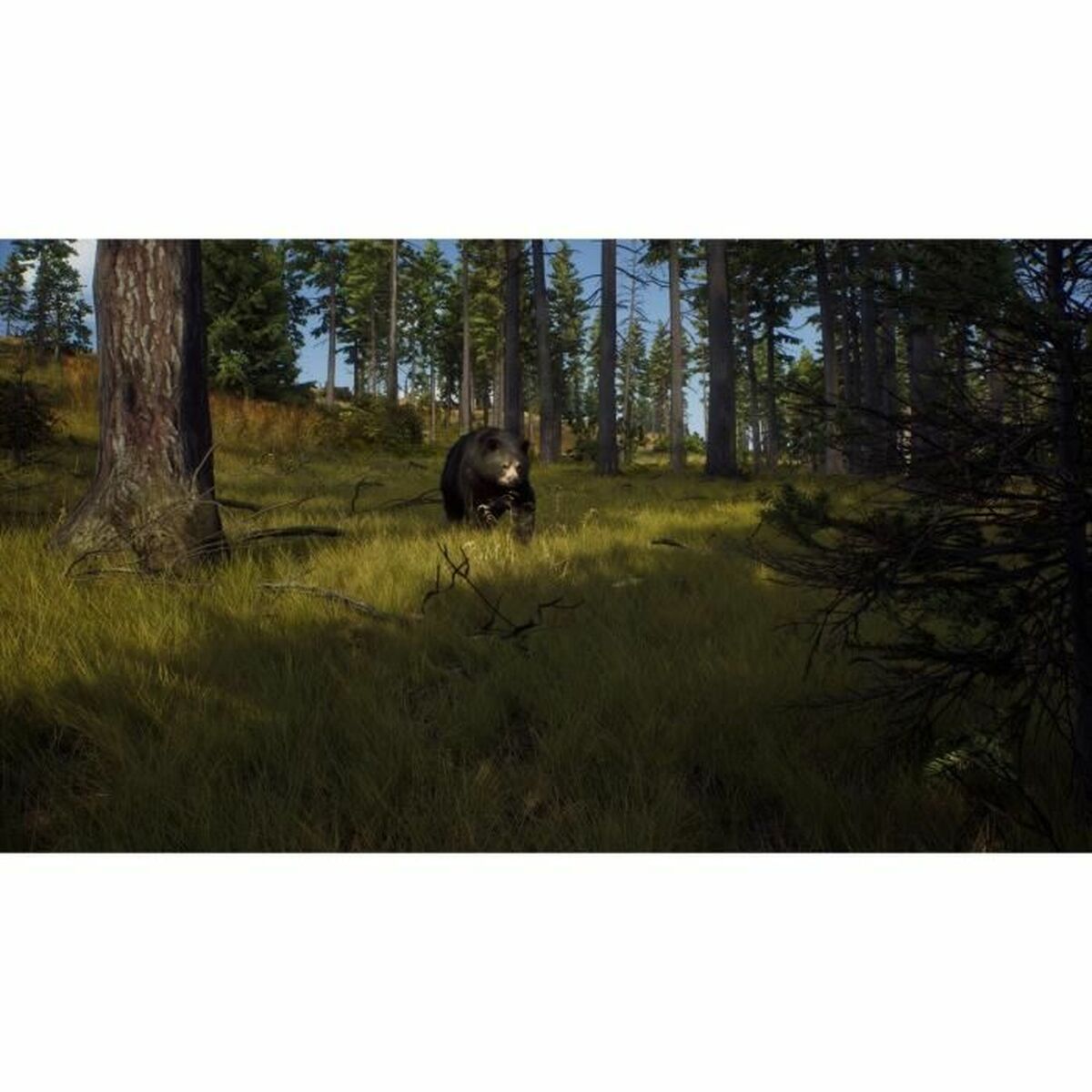 Xbox Series X Videospel THQ Nordic Wild Expeditions (FR) - 3