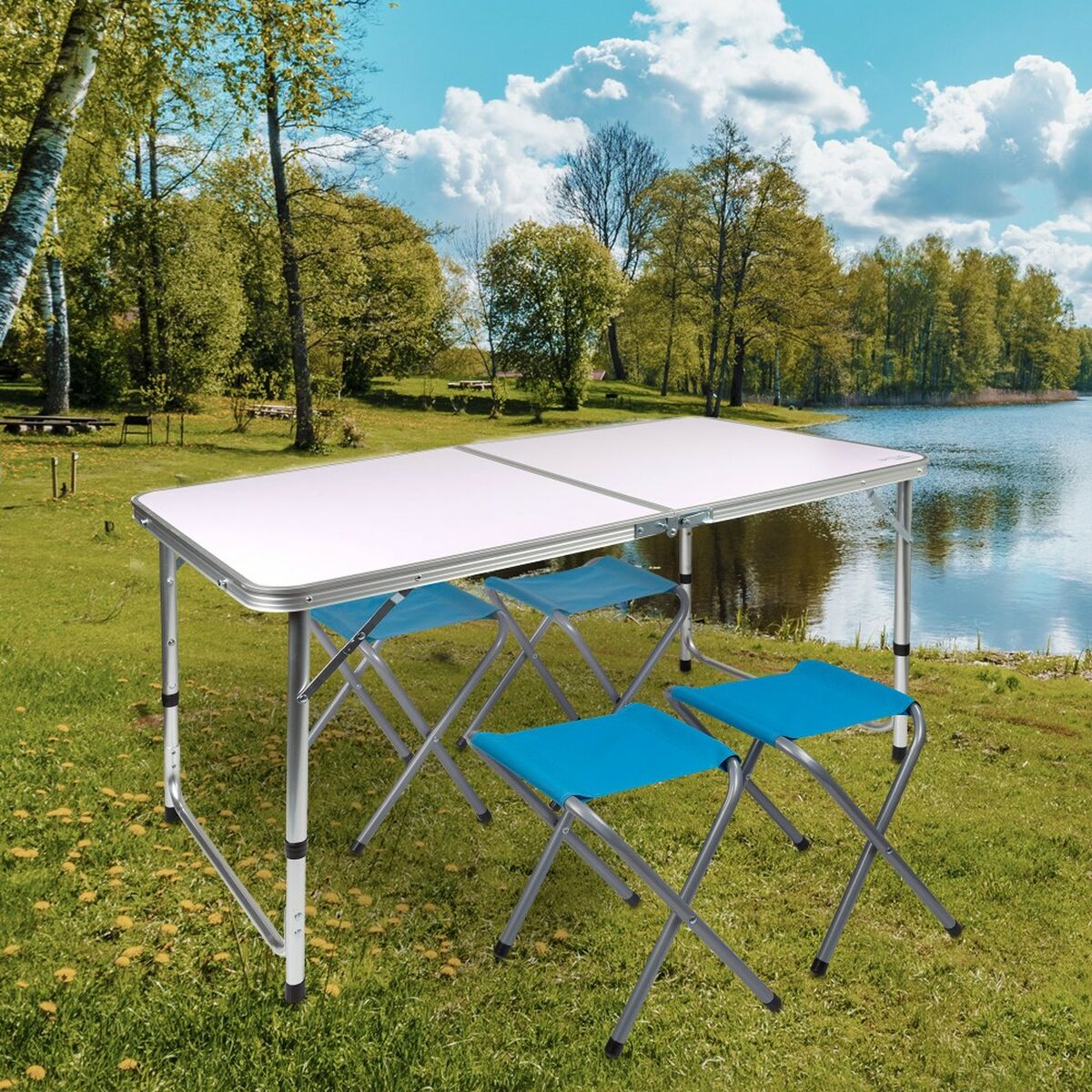 Bord Aktive - 5