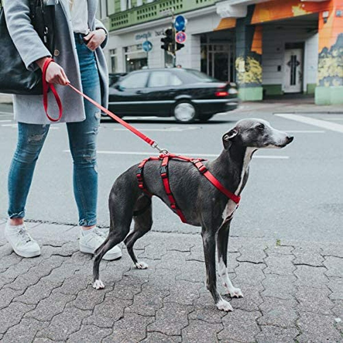 Hundsele Hunter 48-70 cm Röd S/M 36-51 cm - 2