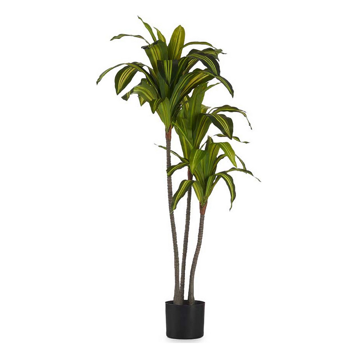 Dekorativ växt Ibergarden BRS-ADK105 Plast Brett blad 70 x 120 x 70 cm - 3