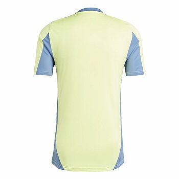Fotbollströja Adidas Ajax Amsterdam 24/25 Gul
