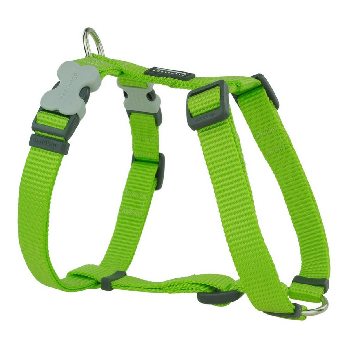 Hundsele Red Dingo Slät 25-39 cm Lime - 2