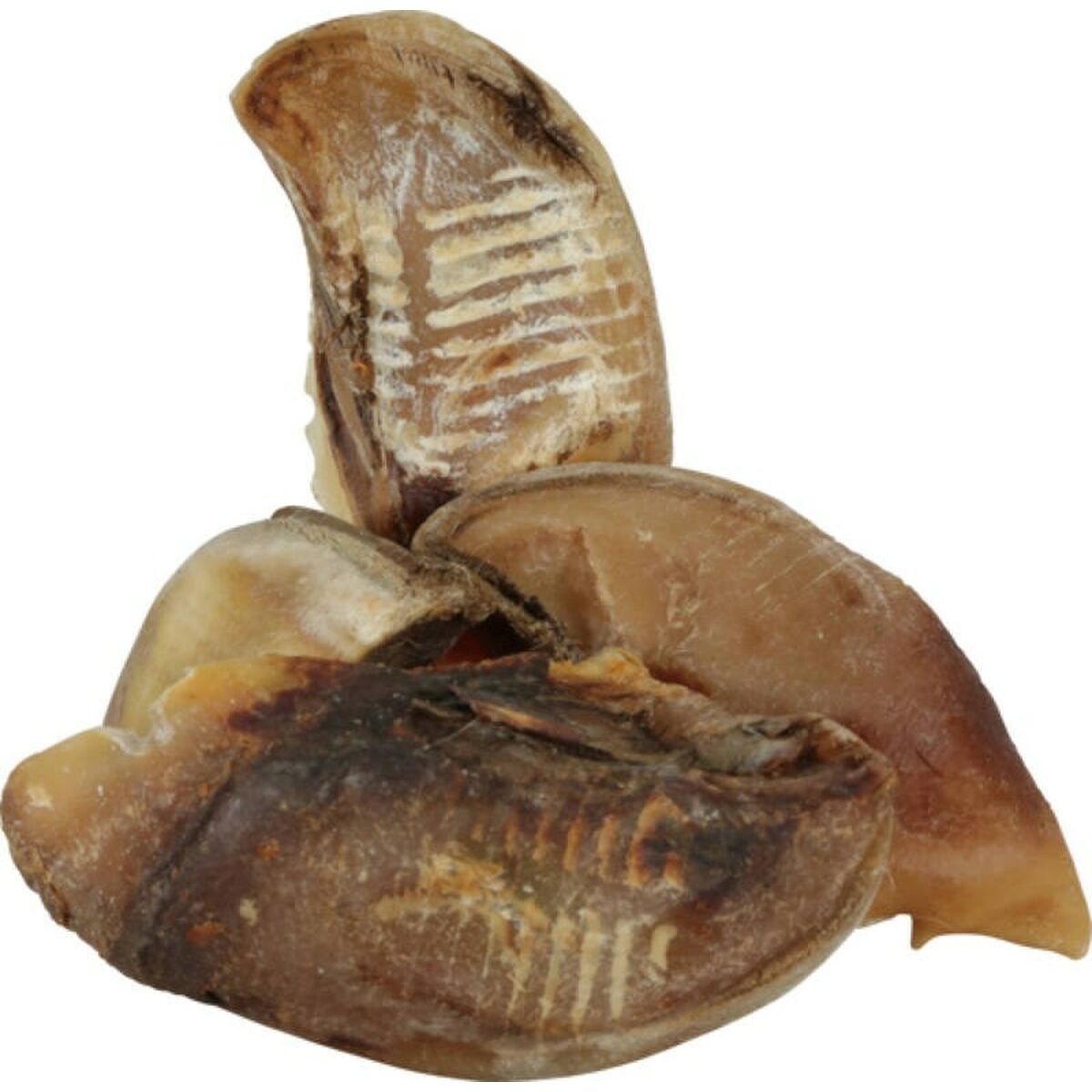 Tuggleksak för hundar Zolux Beef hooves Nötkött 700 g - 2