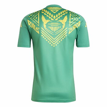 Fotbollströja Adidas Jamaica 2024 Pre Match Grön